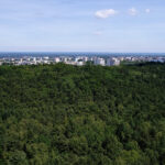 wieża widokowa Zielona Góra