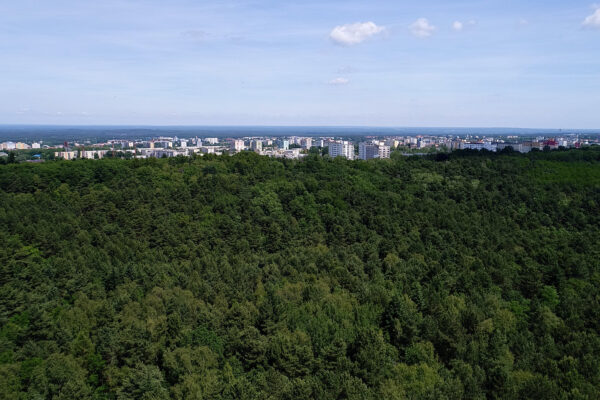 Czy Zielona Góra powinna wrócić do pomysłu wieży widokowej na Wzgórzach Piastowskich? wieża widokowa Zielona Góra