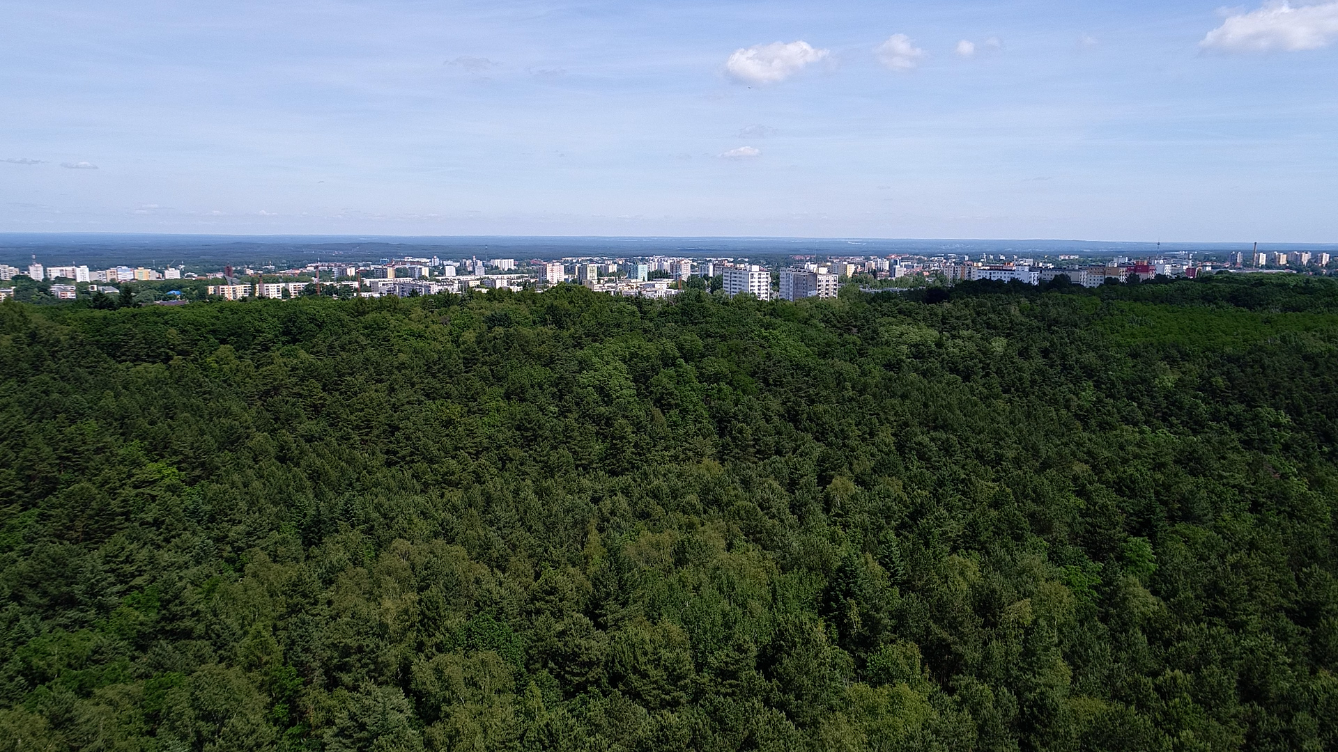 wieża widokowa Zielona Góra