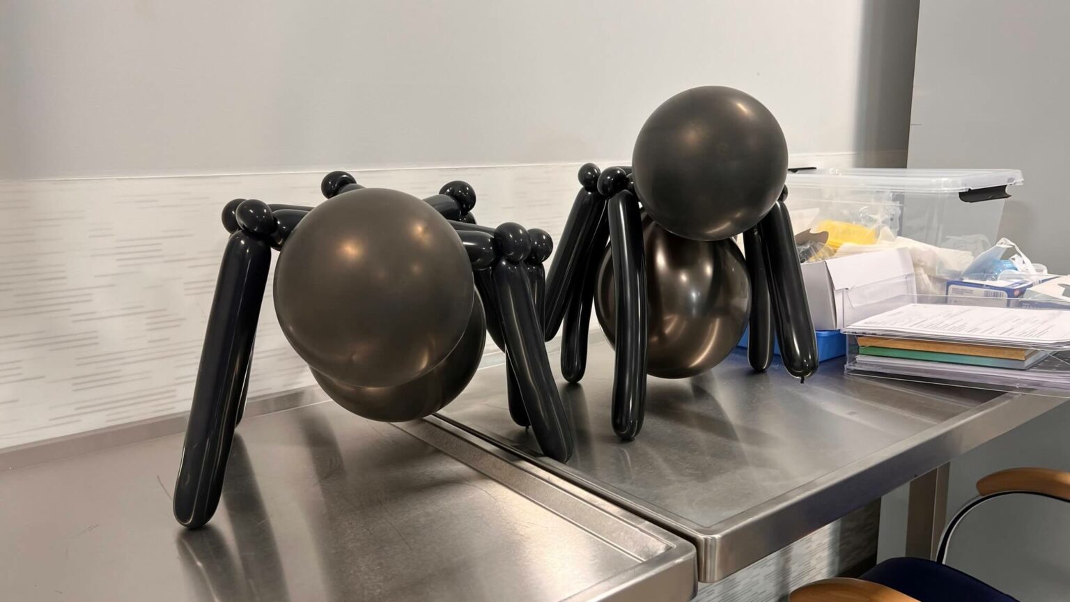 Halloween w szpitalu - Szpital Zielona G&oacute;ra