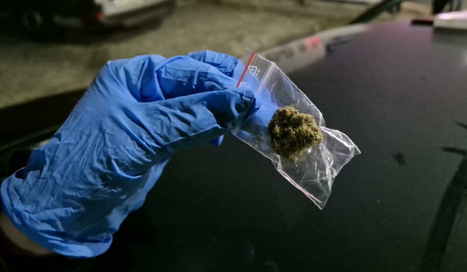 Pijani kierowcy Zielona G&oacute;ra - Policja Zielona G&oacute;ra