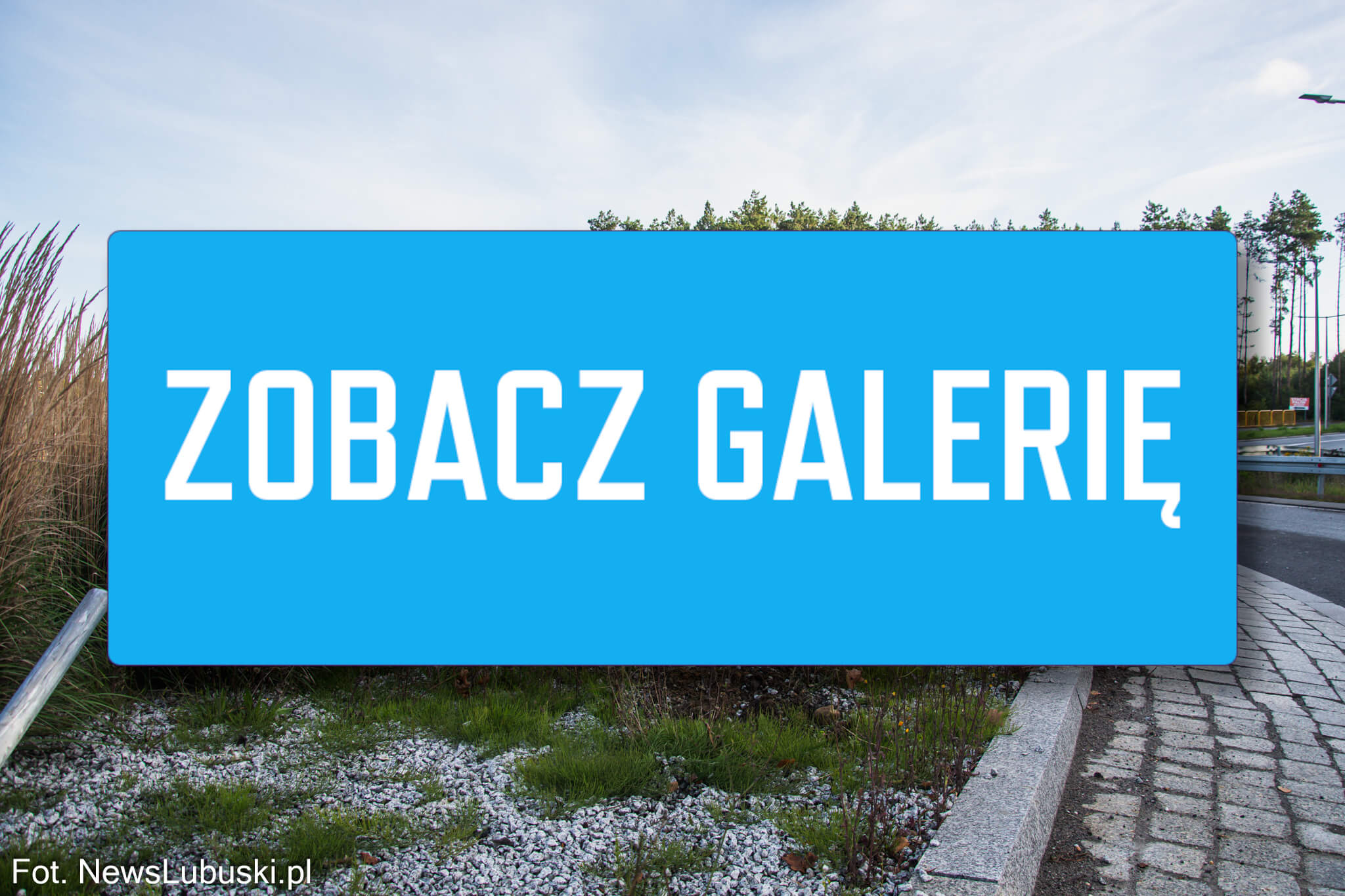 Pijany kierowca Zielona Góra - Wypadek Wilkanowo