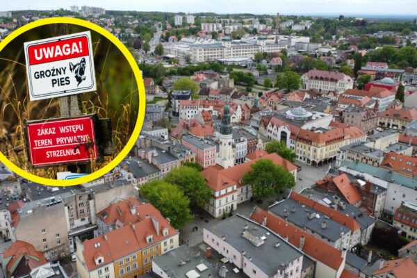 Psy zagryzły mężczyznę w Zielonej Górze. Ratusz reaguje po tragedii w Raculi Psy zagryzły mężczyznę Zielona Góra - Ratusz Zielona Góra Strzelnica Racula