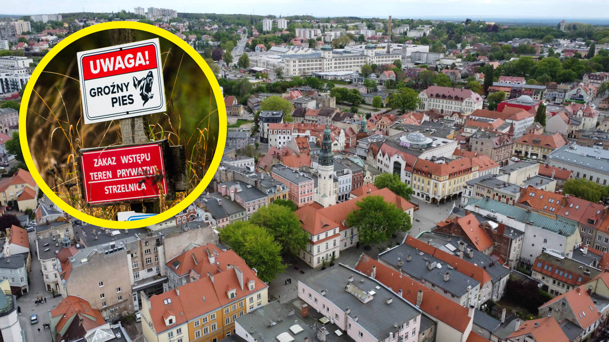 Psy zagryzły mężczyznę Zielona Góra - Ratusz Zielona Góra Strzelnica Racula