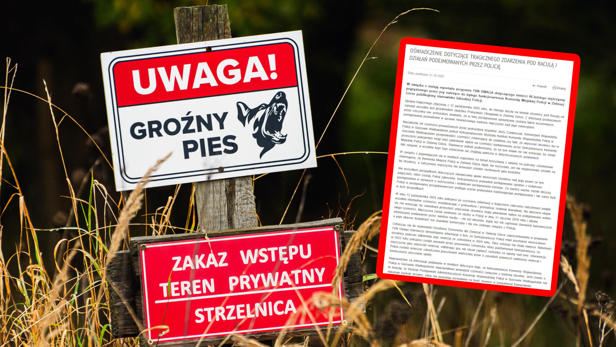 Pogryzienie przez psy Zielona Góra - Strzelnica Racula Lubuska Policja