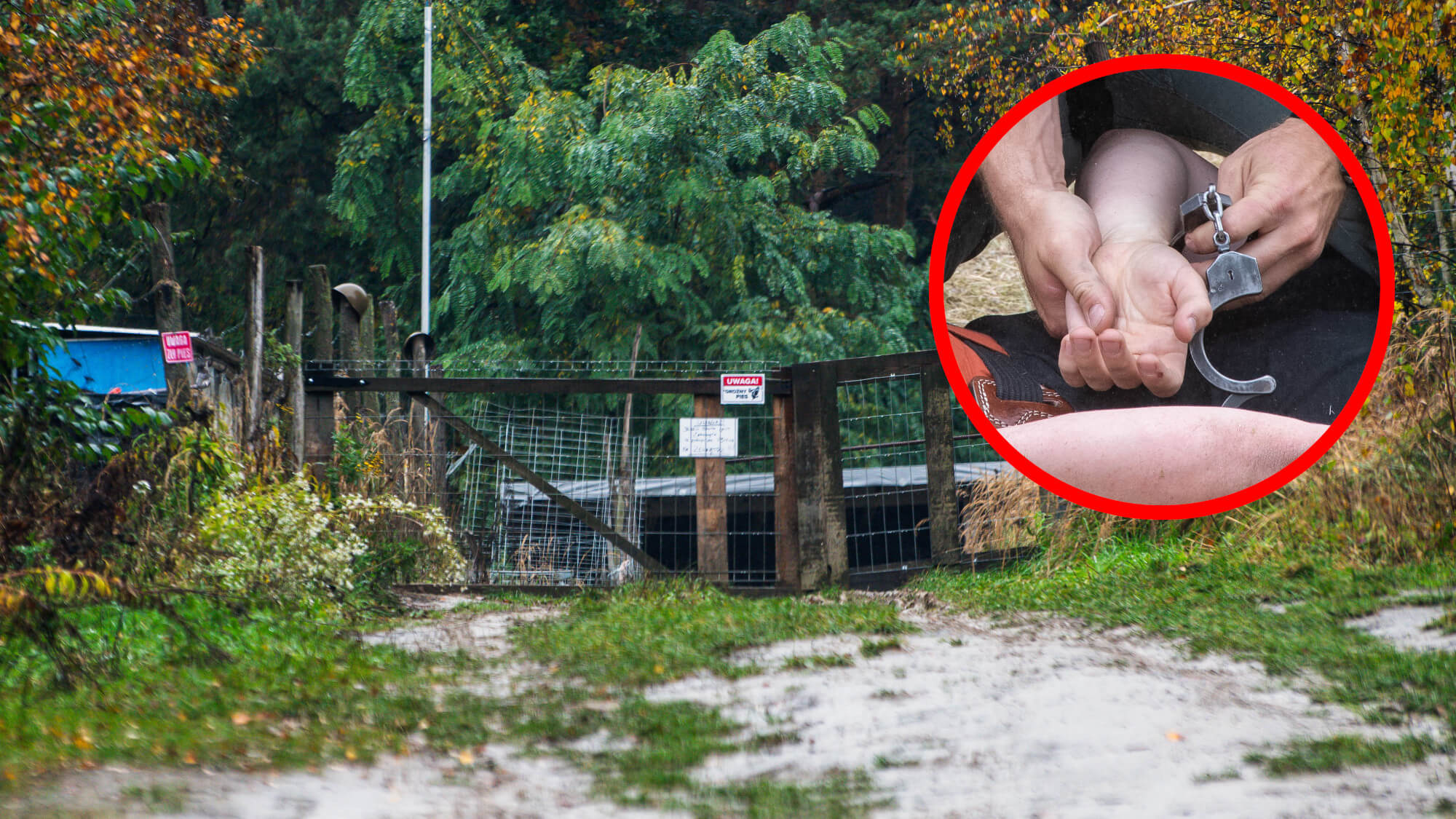 Pogryzienie przez psy Zielona Góra - Piotr M Zielona Góra Strzelnica Racula