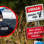 Psy zagryzły mężczyznę Zielona Góra - Policja Zielona Góra Strzelnica Racula