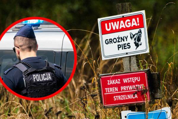 Psy zagryzły mężczyznę Zielona Góra - Policja Zielona Góra Strzelnica Racula