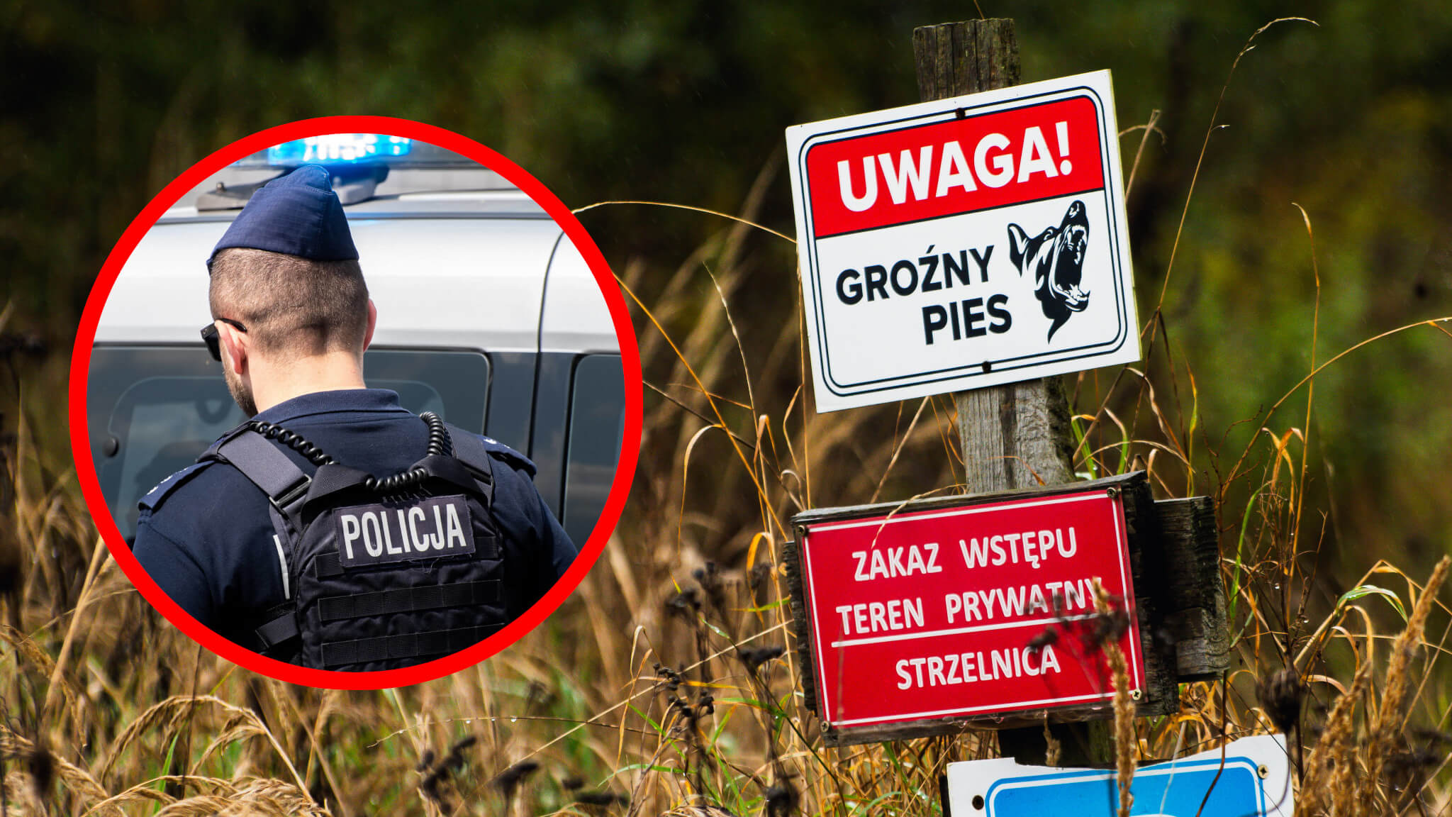 Psy zagryzły mężczyznę Zielona Góra - Policja Zielona Góra Strzelnica Racula