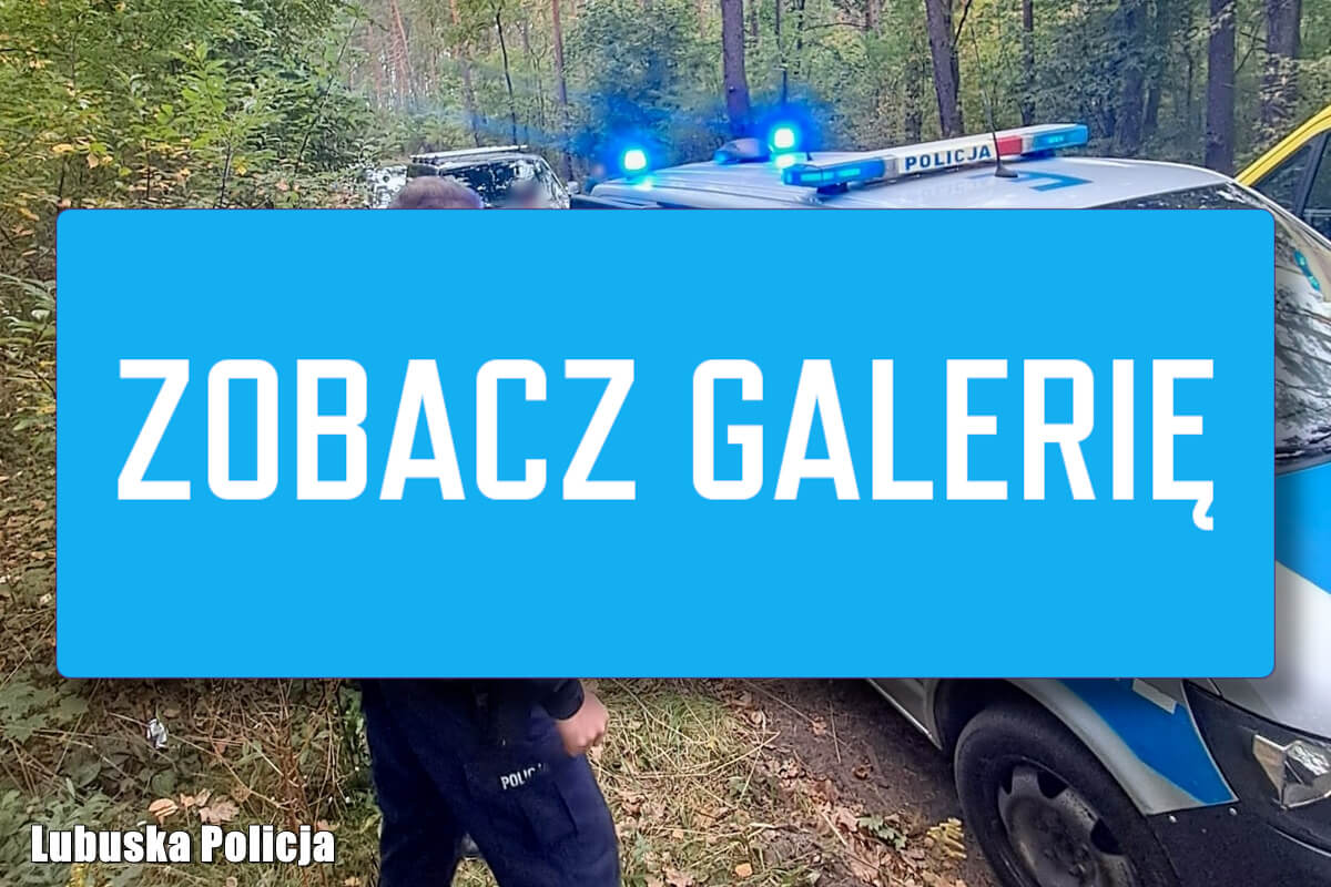 84-latek zaginął na grzybach - poszukiwania w lesie Międzyrzecz