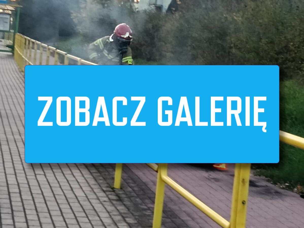 Pożar hulajnogi elektrycznej Zielona Góra - Straż pożarna Zielona Góra