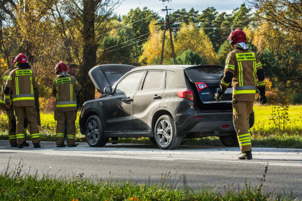Pożar samochodu na DK27 pod Zieloną Górą. Dopiero kupił auto (ZDJĘCIA) Pożar samochodu na DK27 - Pożar Świdnica Zielona Góra