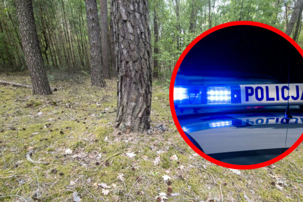 Dramat w Zielonej Górze. Mężczyzna brutalnie pogryziony przez psy Pogryzienie przez psy Zielona Góra - Racula strzelnica