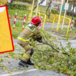 Silny wiatr lubuskie - Ostrzeżenia IMGW
