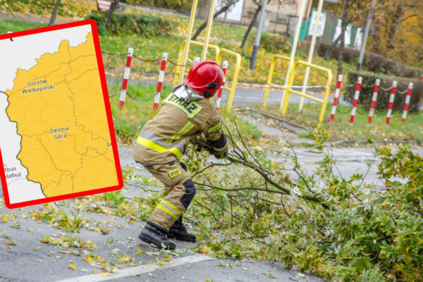 Pogoda Lubuskie. Ostrzeżenia IMGW dla całego regionu – będzie mocno wiało Silny wiatr lubuskie - Ostrzeżenia IMGW