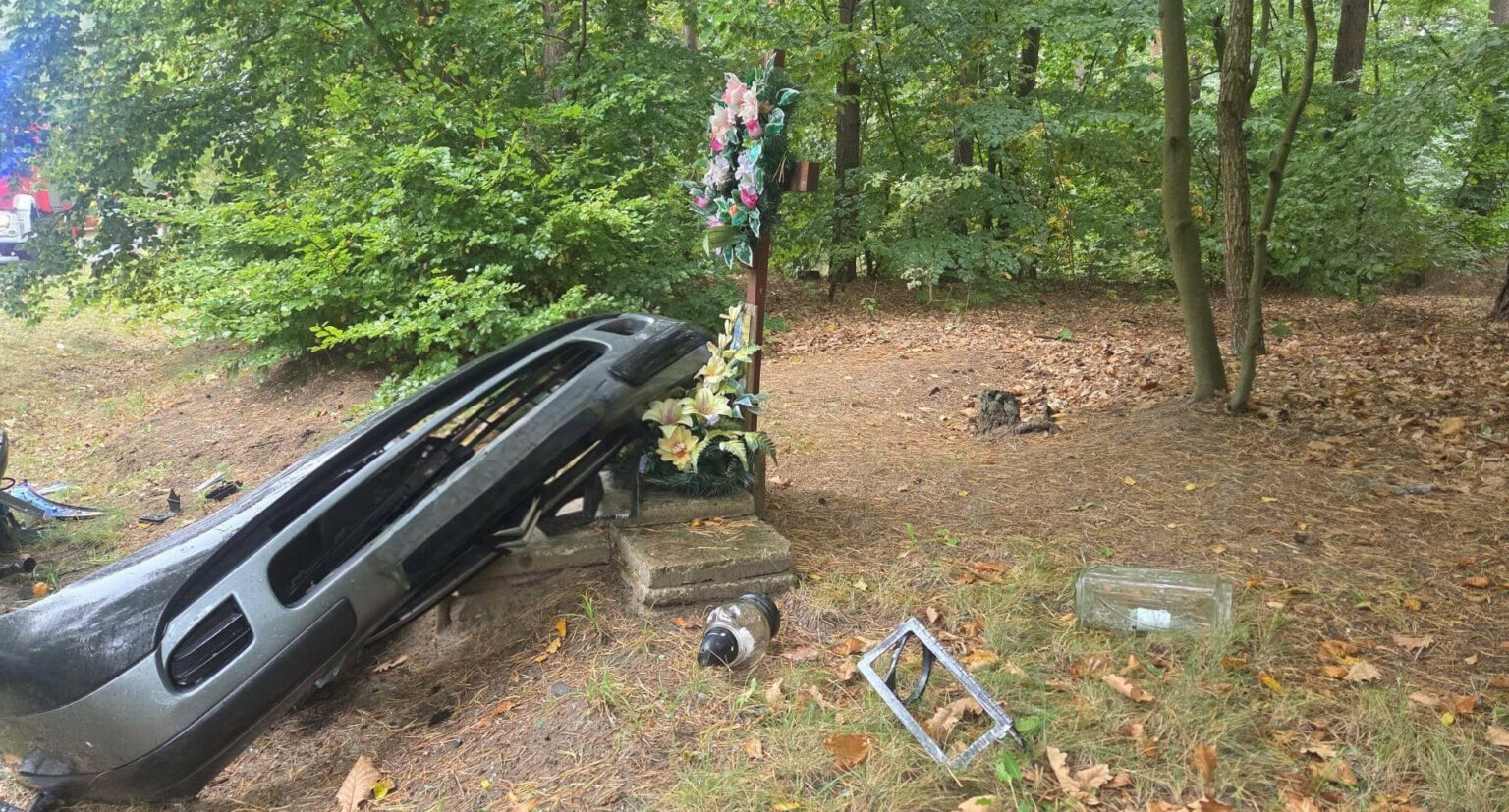 Śmiertelny wypadek Międzyrzecz - Wypadek na DW137