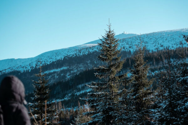 Ten Sylwester będzie wyjątkowy! Mamy na to sposób Sylwester Karpacz