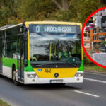 Wszystkich Świętych Zielona Góra 2025 - rozkład jazdy MZK Zielona Góra