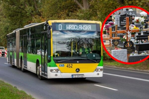 Wszystkich Świętych Zielona Góra 2025. Tak dojedziesz autobusem MZK na cmentarz Wszystkich Świętych Zielona Góra 2025 - rozkład jazdy MZK Zielona Góra