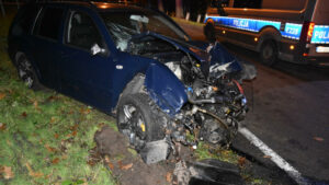 Pijany kierowca rozbił auto o drzewo w Zielonej Górze. Wytropił go pies (ZDJĘCIA)