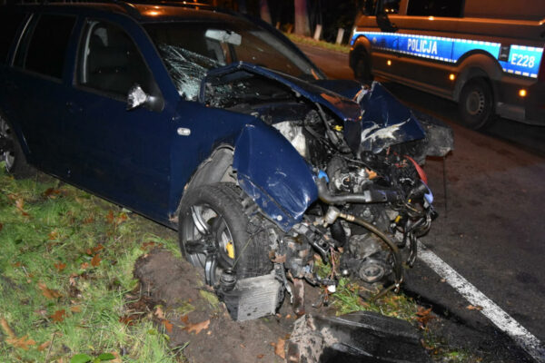 Pijany kierowca rozbił auto o drzewo w Zielonej Górze. Wytropił go pies (ZDJĘCIA) Pijany kierowca Zielona Góra - Wypadek Zielona Góra Krępa