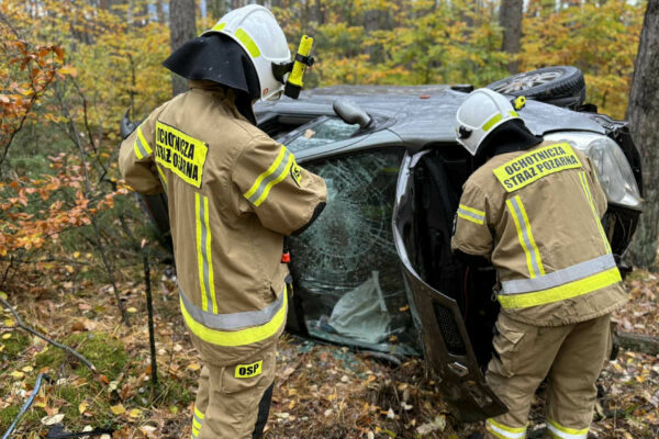 Wypadek koło Nowogrodu Bobrzańskiego. Osobówka roztrzaskana o drzewa (ZDJĘCIA) Wypadek Nowogród Bobrzański - Wypadek Niwiska