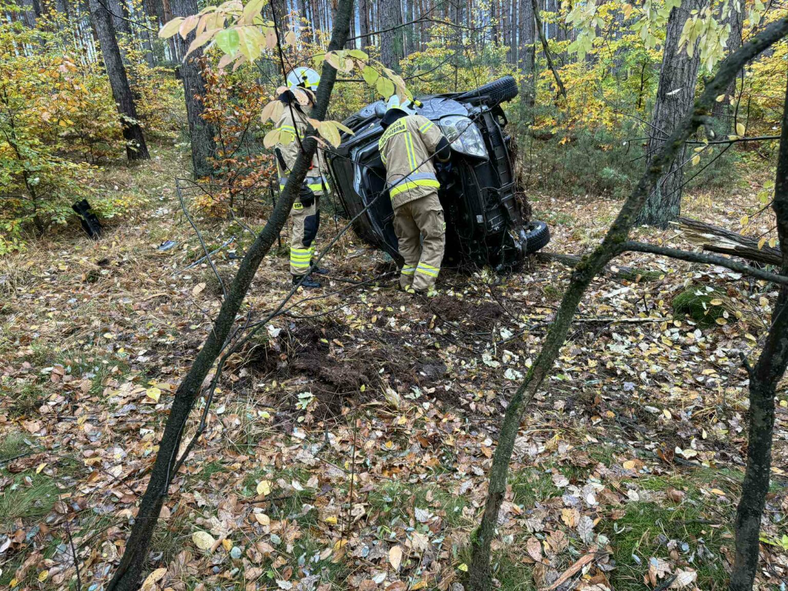 Wypadek Nowogr&oacute;d Bobrzański - Wypadek Niwiska