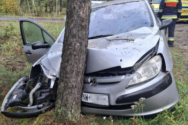 Wypadek Nowogród Bobrzański - Wypadek Zielona Góra uderzył w drzewo