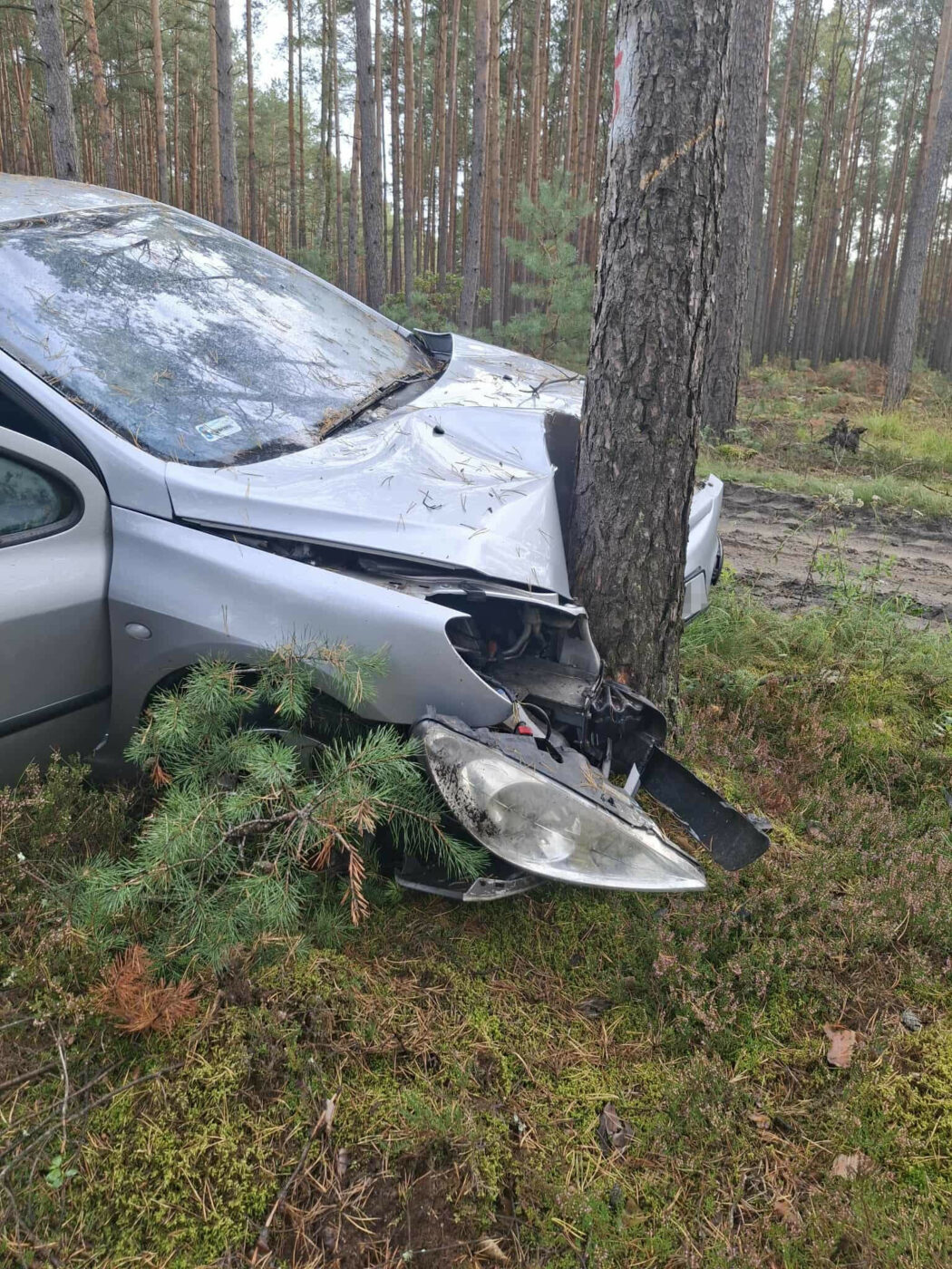 Wypadek Nowogród Bobrzański - Wypadek Zielona Góra uderzył w drzewo
