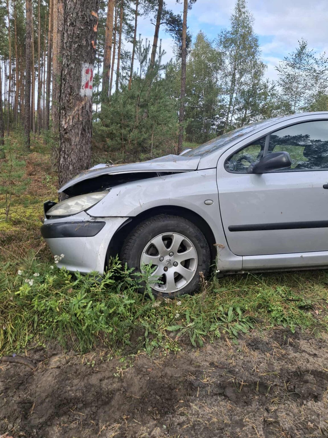 Wypadek Nowogr&oacute;d Bobrzański - Wypadek Zielona G&oacute;ra uderzył w drzewo