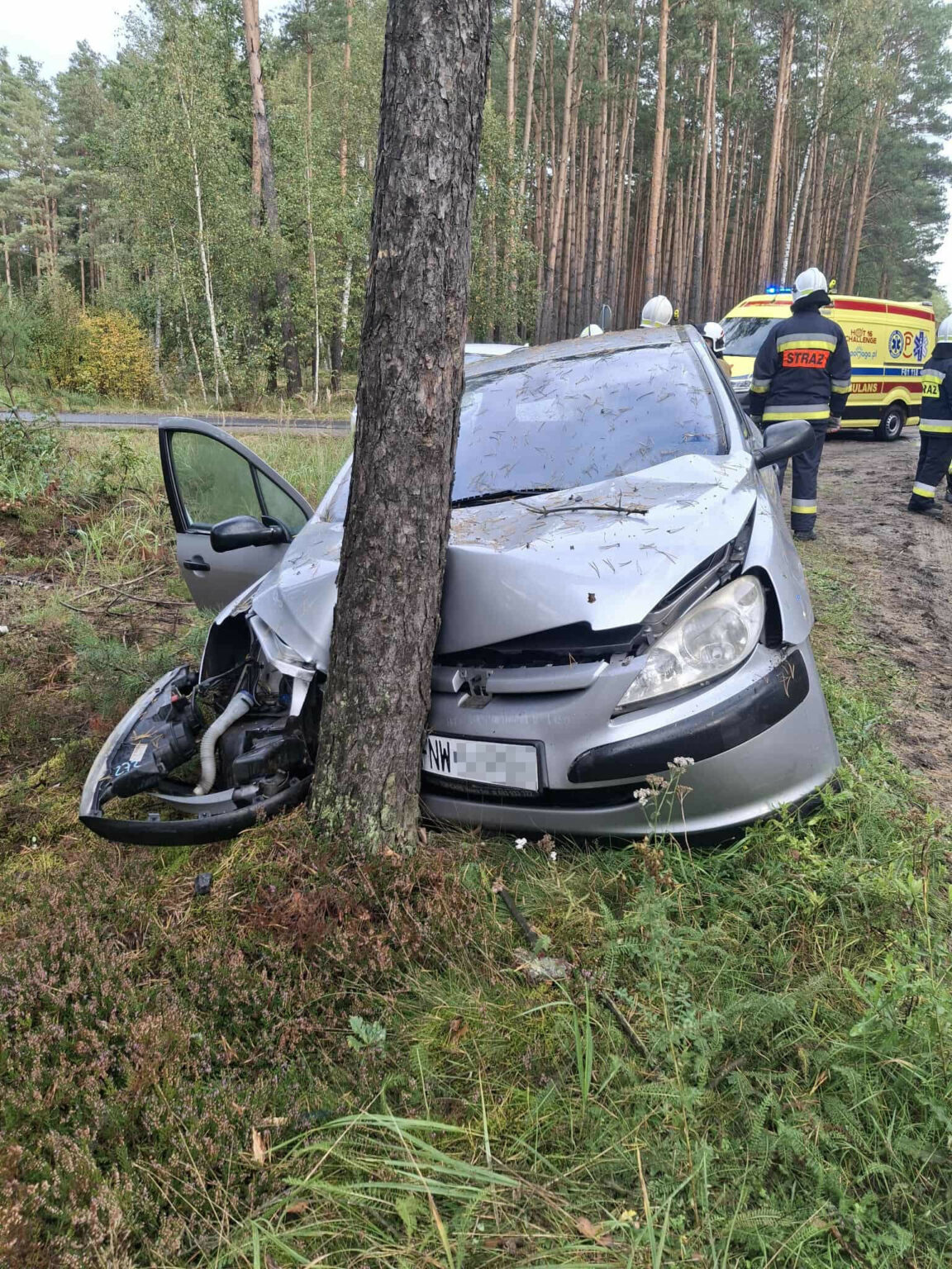 Wypadek Nowogr&oacute;d Bobrzański - Wypadek Zielona G&oacute;ra uderzył w drzewo