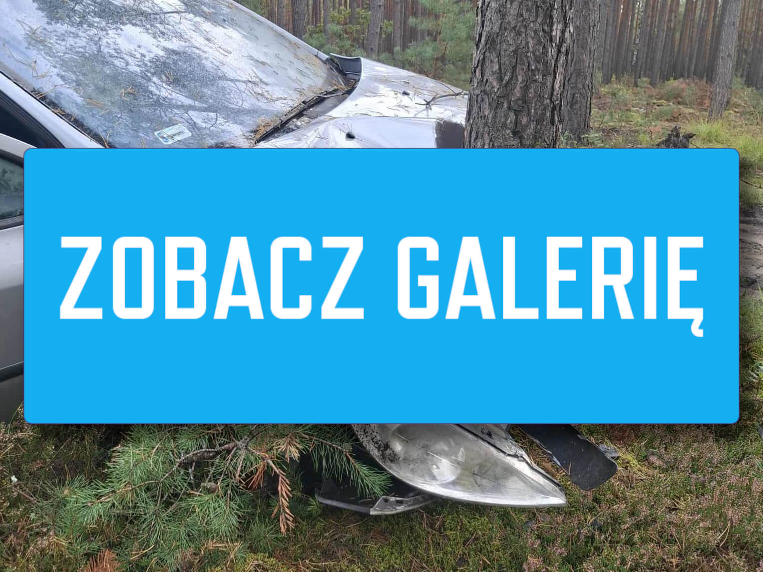 Wypadek Nowogród Bobrzański - Wypadek Zielona Góra uderzył w drzewo