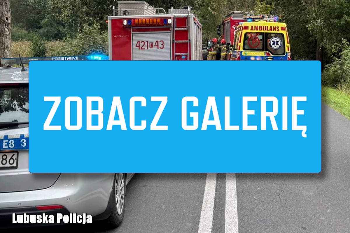 Wypadek Świebodzin - Pijany kierowca Świebodzin