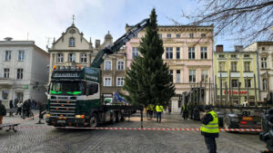 Wielka choinka stanęła już przy ratuszu w Zielonej Górze. Miasto gotowe na święta! (ZDJĘCIA)