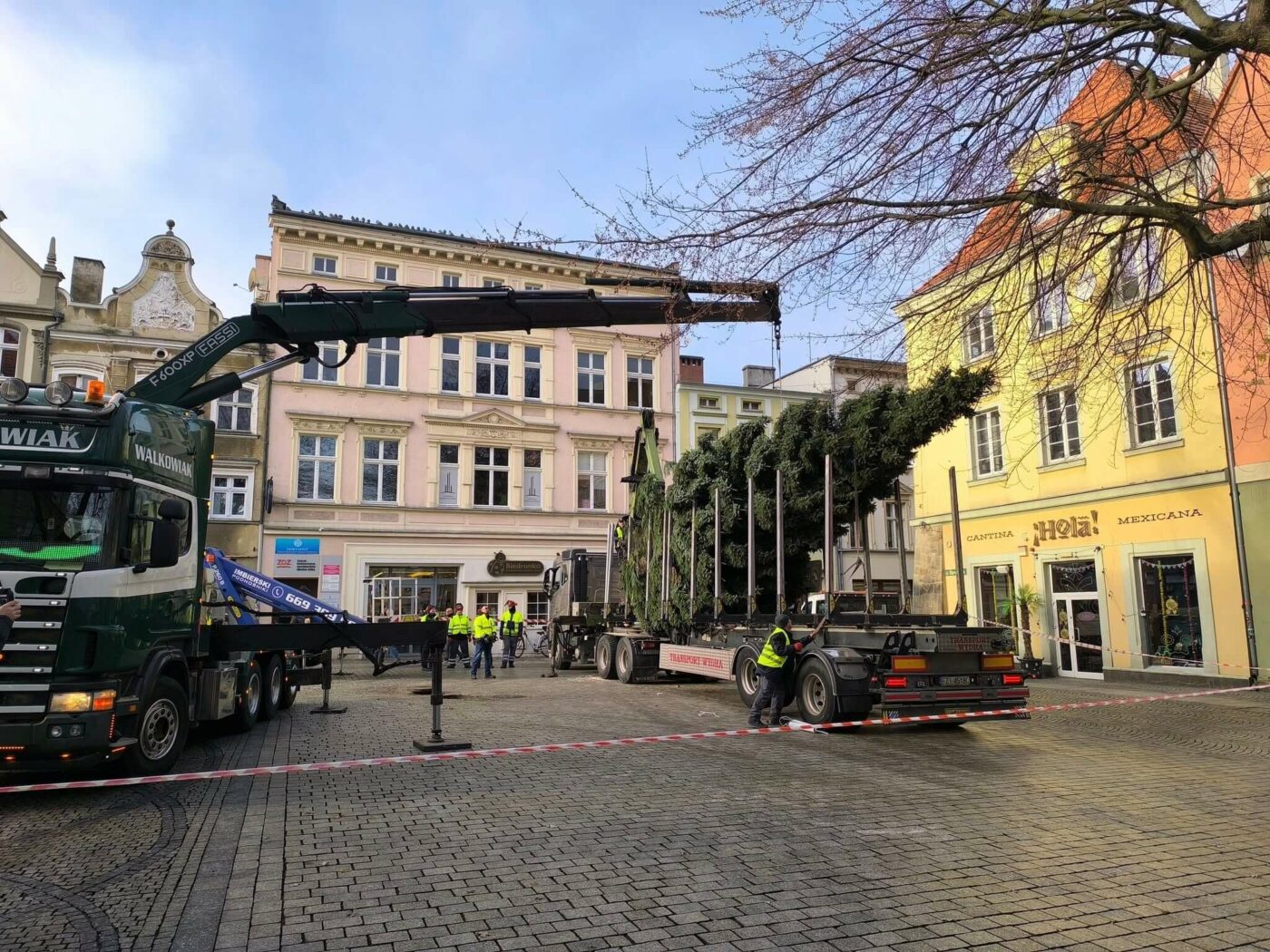 choinka Zielona Góra - święta w Zielonej Górze. deptak Zielona Góra