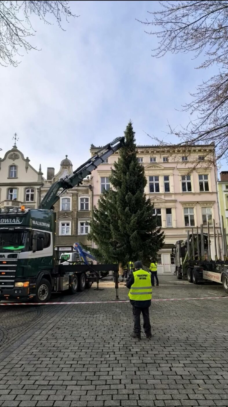 choinka Zielona Góra - święta w Zielonej Górze. deptak Zielona Góra