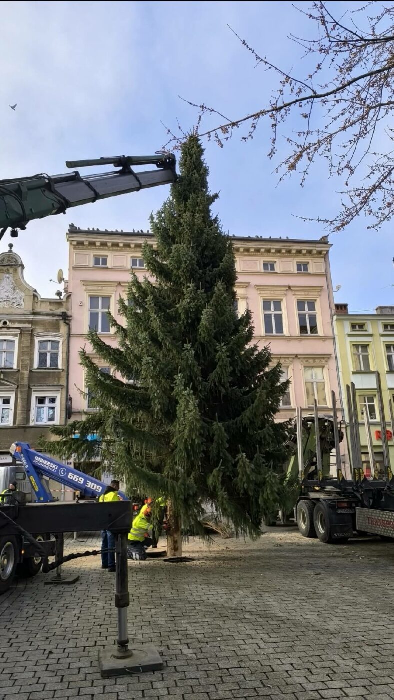 choinka Zielona Góra - święta w Zielonej Górze. deptak Zielona Góra