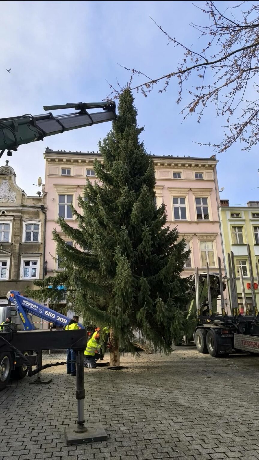 choinka Zielona G&oacute;ra - święta w Zielonej G&oacute;rze. deptak Zielona G&oacute;ra