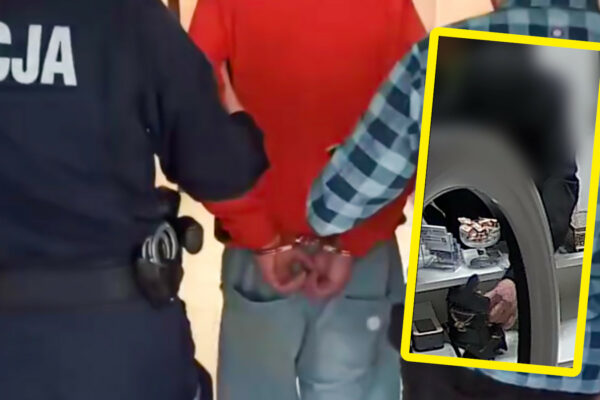 kieszonkowiec Zielona Góra - kradzież Zielona Góra. policja Zielona Góra