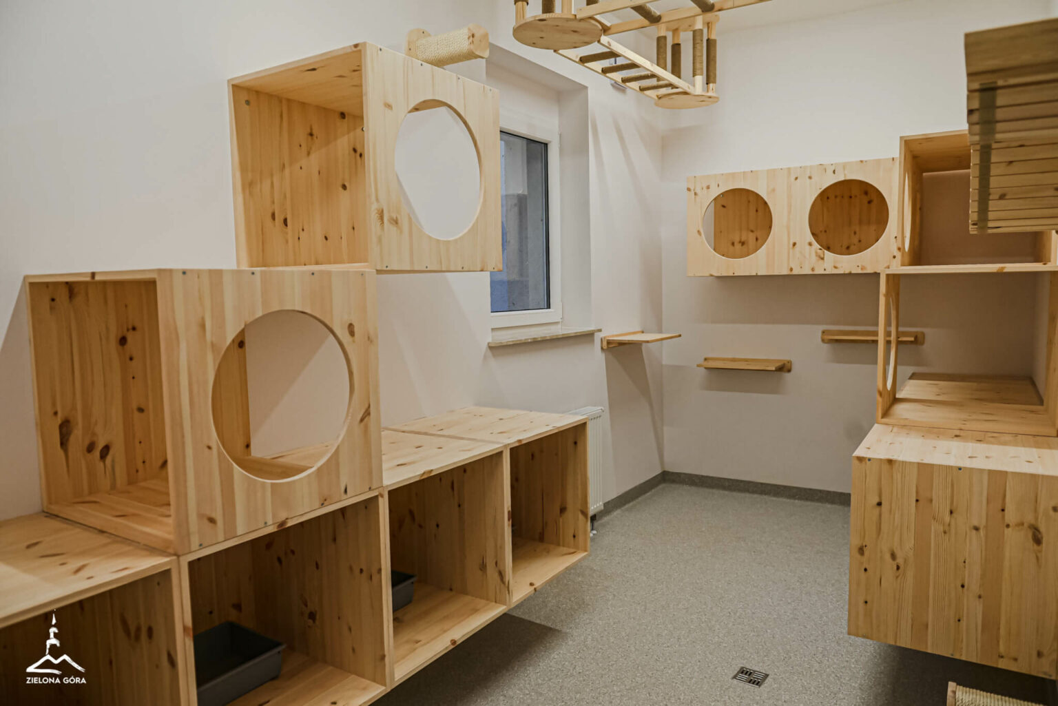 kociarnia Zielona G&oacute;ra - schronisko Zielona G&oacute;ra