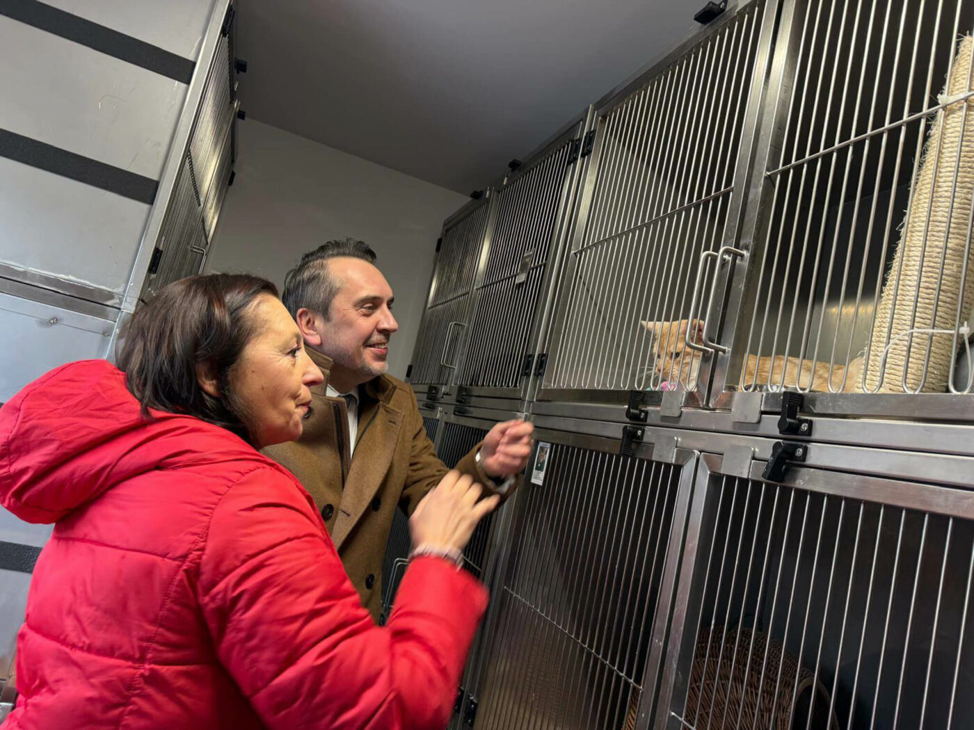 kociarnia Zielona Góra - schronisko Zielona Góra