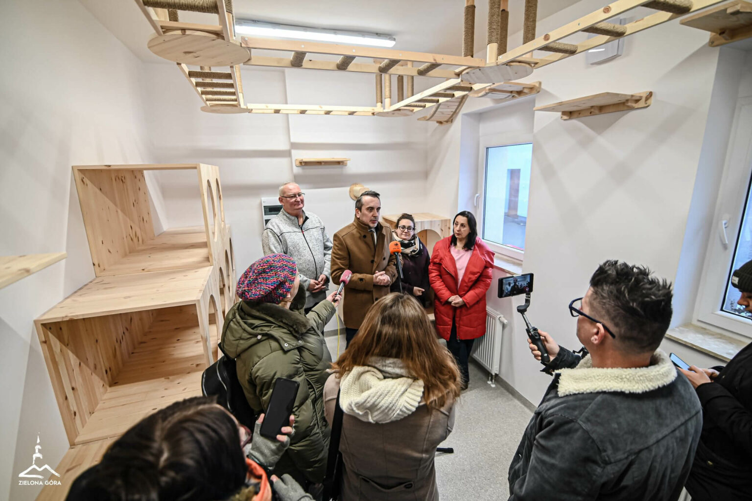 kociarnia Zielona G&oacute;ra - schronisko Zielona G&oacute;ra