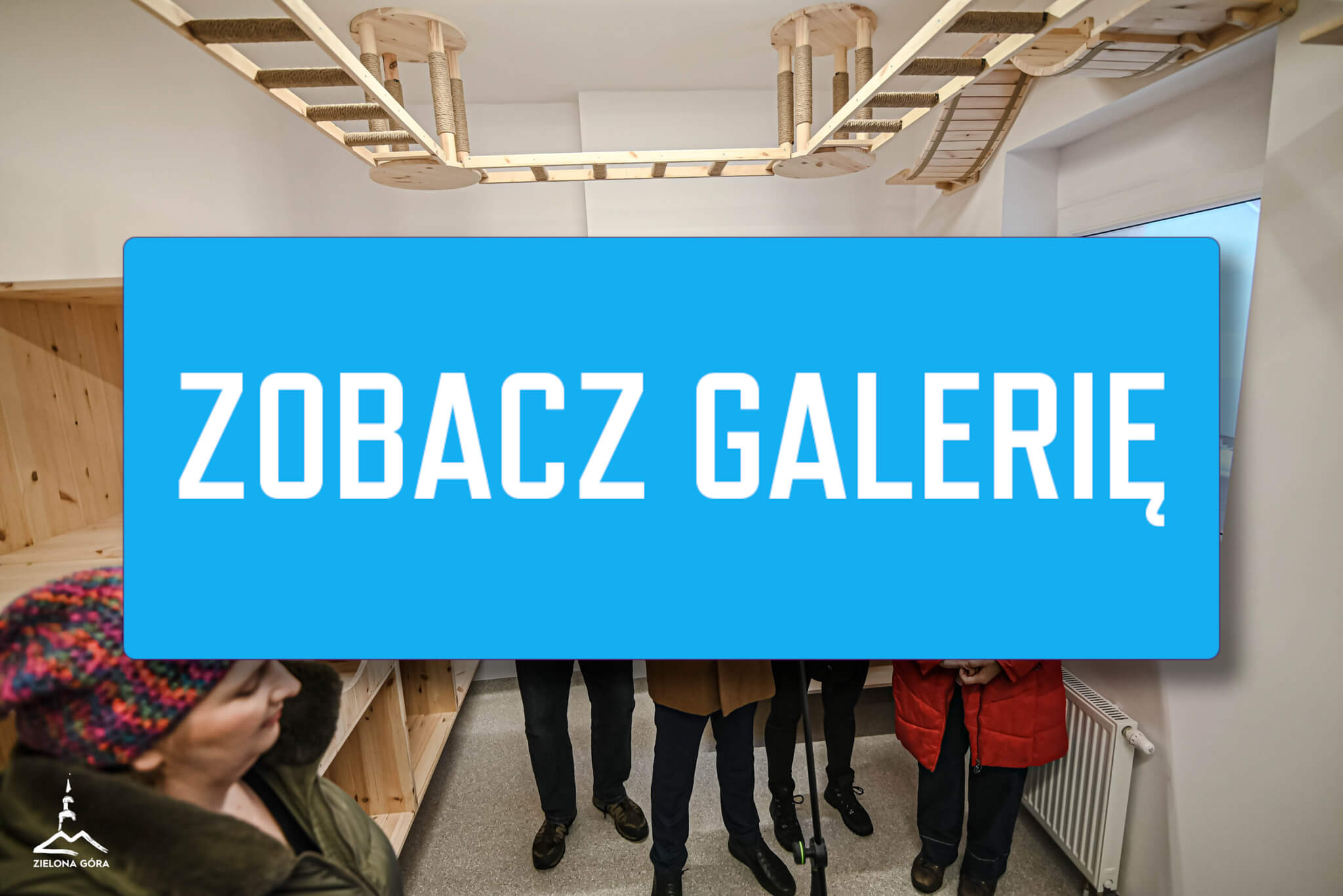 kociarnia Zielona Góra - schronisko Zielona Góra