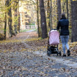 leśny deptak Zielona Góra - spacer Zielona Góra