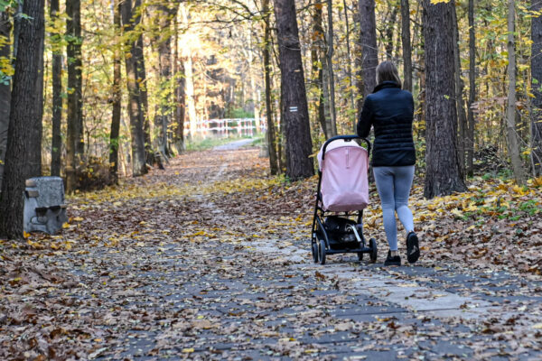 leśny deptak Zielona Góra - spacer Zielona Góra