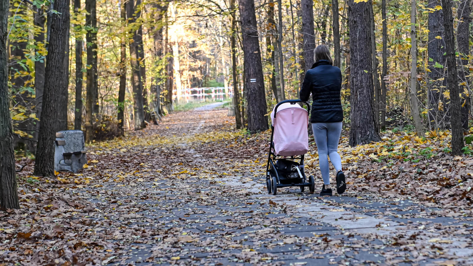 leśny deptak Zielona Góra - spacer Zielona Góra