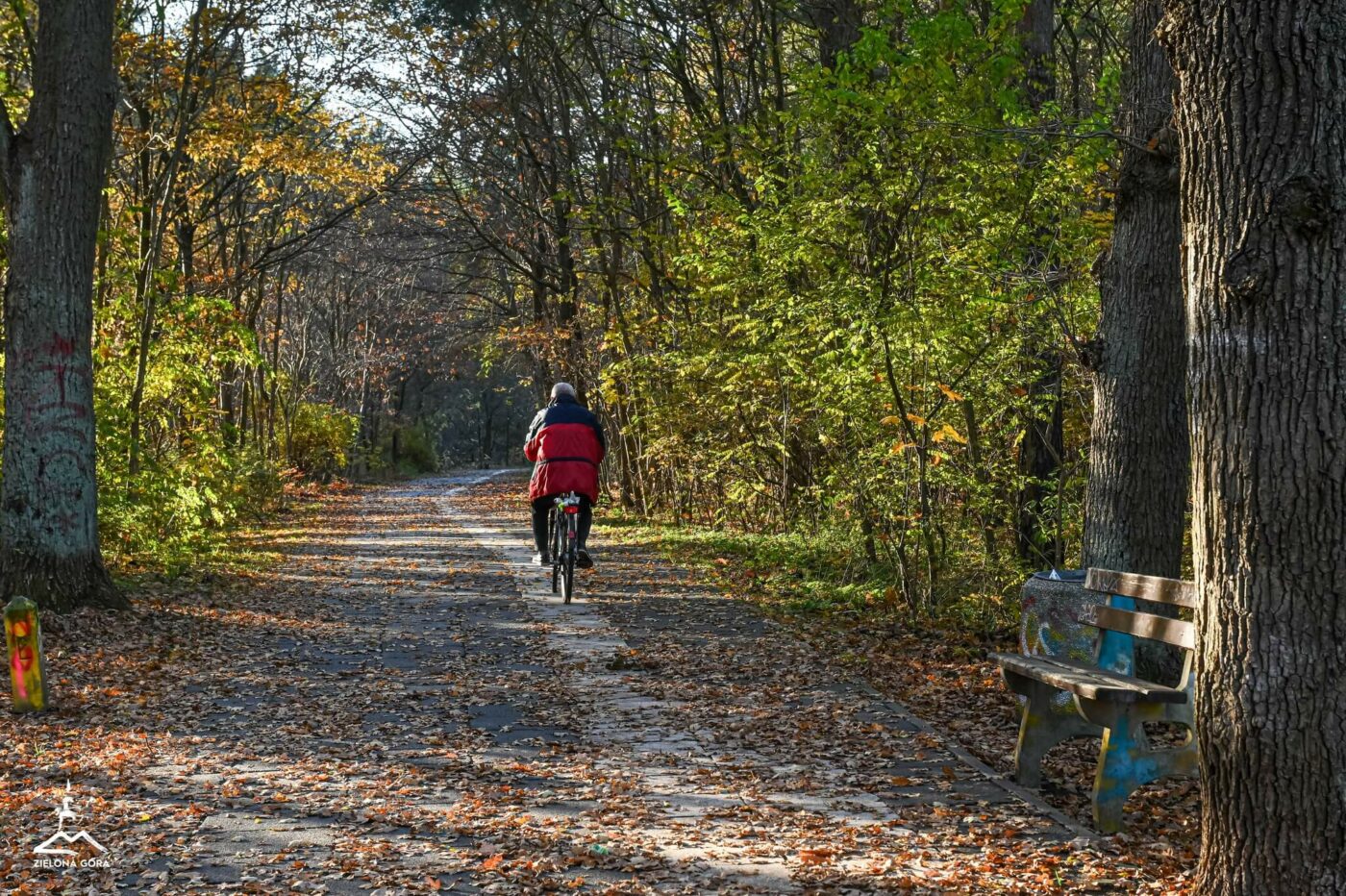 leśny deptak Zielona Góra - spacer Zielona Góra