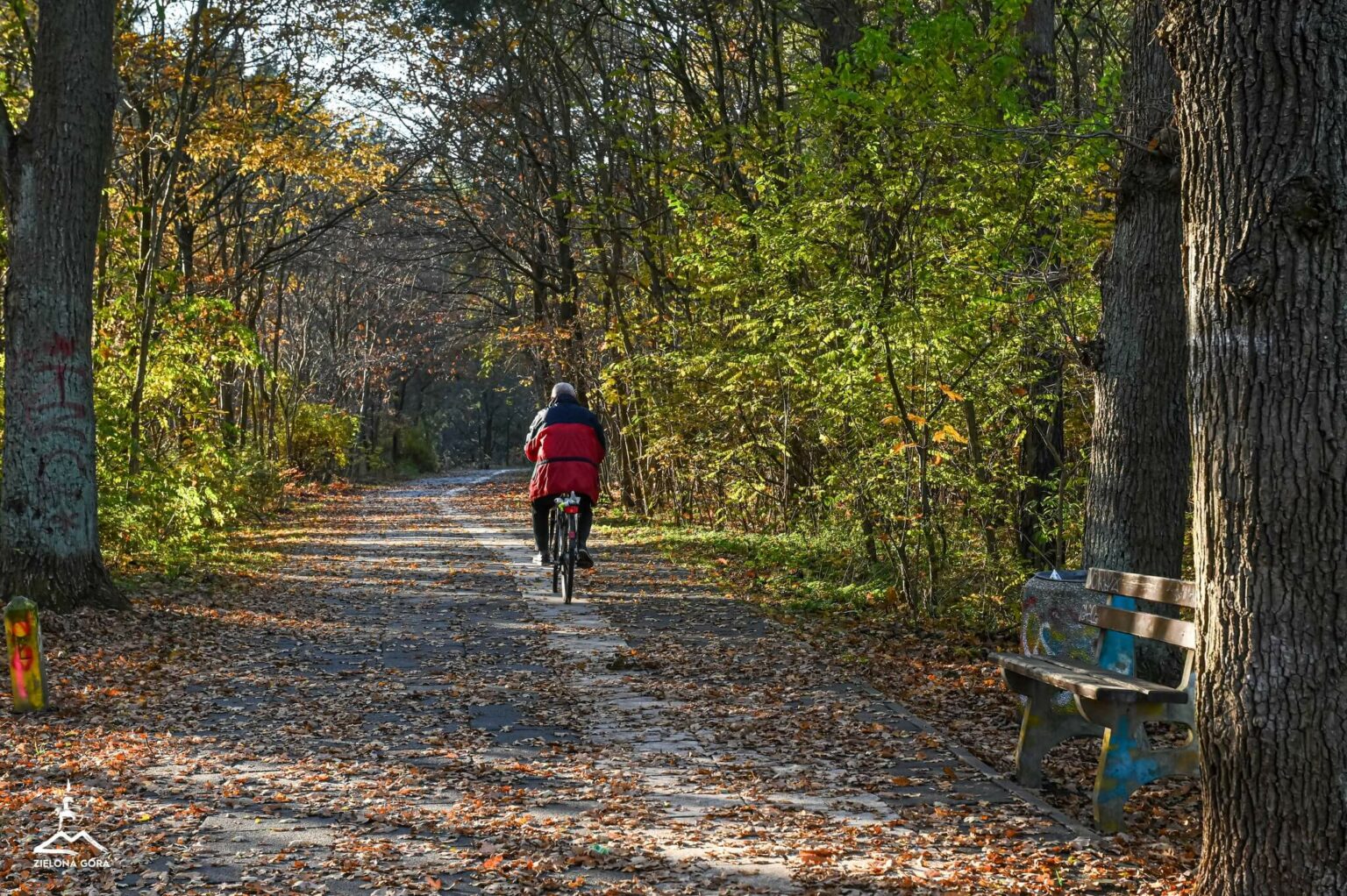 leśny deptak Zielona G&oacute;ra - spacer Zielona G&oacute;ra