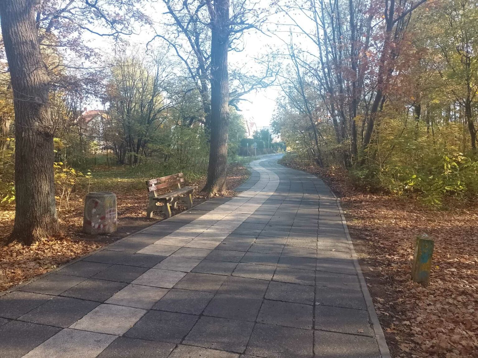 leśny deptak Zielona G&oacute;ra - spacer Zielona G&oacute;ra