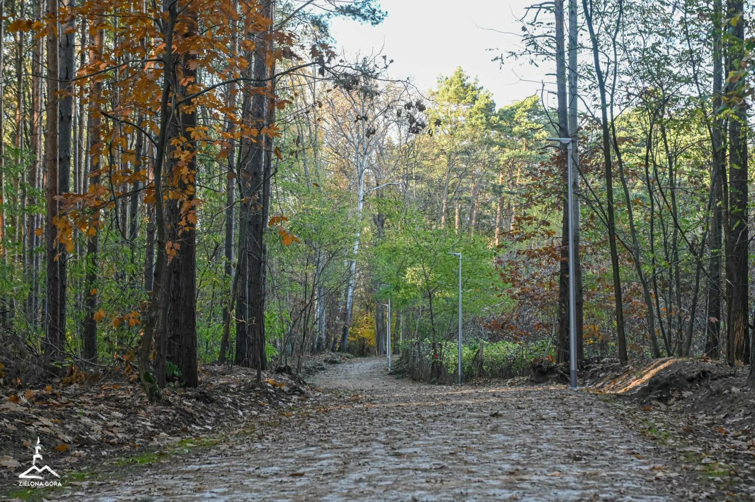 leśny deptak Zielona G&oacute;ra - spacer Zielona G&oacute;ra
